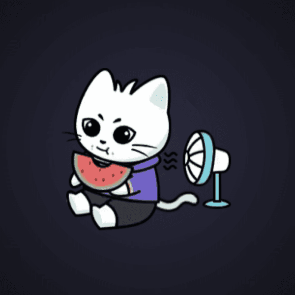 Cool Cat Eating Watermelon