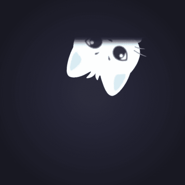 Curious White Cat