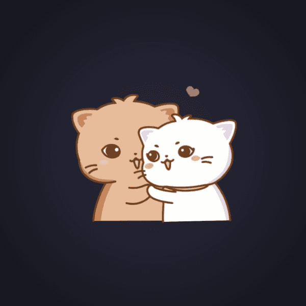 Brown And White Cat Hug