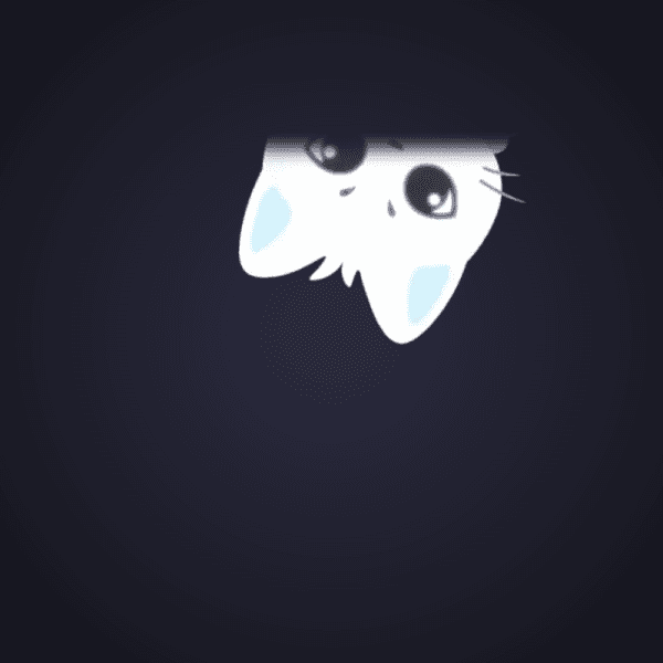 Curious White Cat