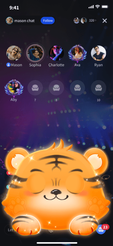 Cute Winking Tiger Frame