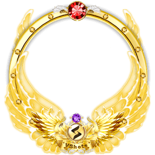Golden Wing Frame
