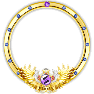 Golden Winged Jewel Frame