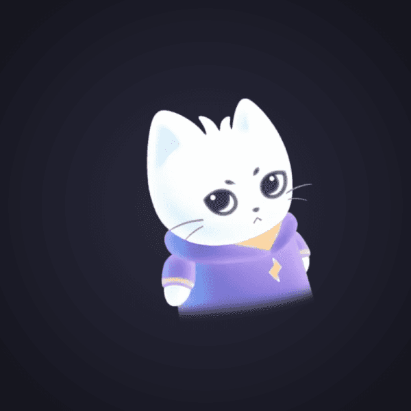 White Cat With Hoodie